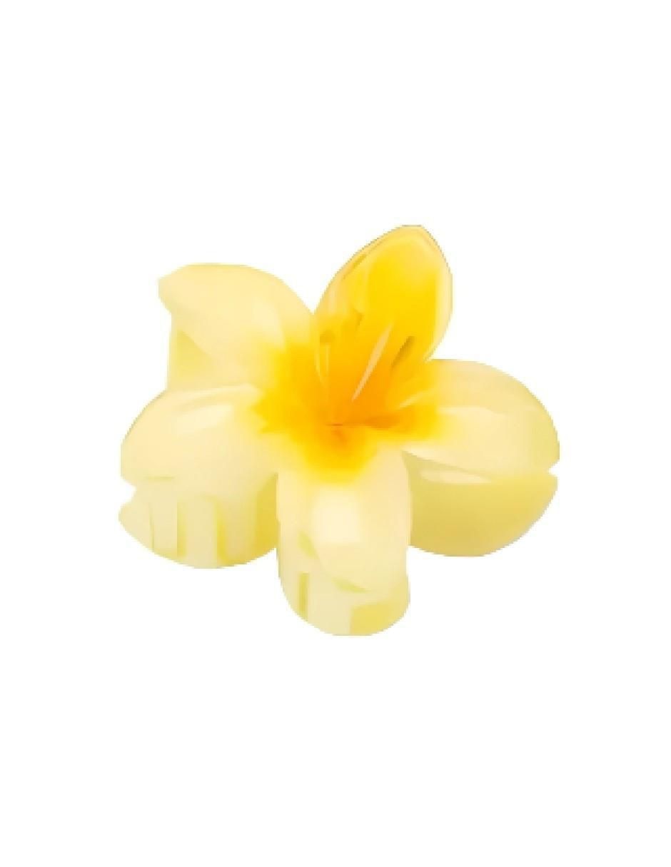 Pinza para el cabello de plástico Pinza para el cabello de plástico