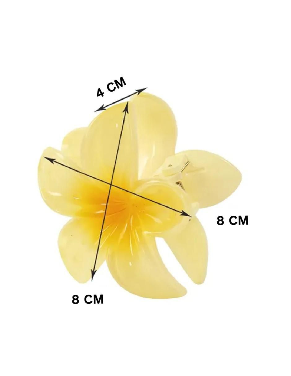 Pinza para el cabello de plástico 3